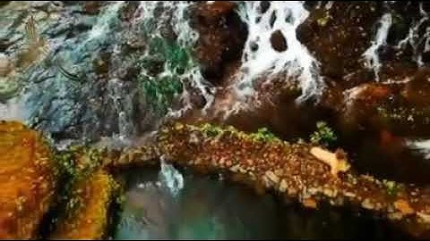 تلاوة رائعة خاشعة تريح القلب | وَمَا قَدَرُوا اللَّهَ حَقَّ قَدْرِهِ | عبدالرحمن الزواوي