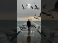 في بلد اخصمي قلت اخلق محمد العمده حالات واتس اكسبلور ابو هريدي تصميمي اشترك في القناه