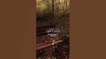 تلاوة خاشعة للشيخ محمد صديق المنشاوي سورة ال عمران 🎧❤️‍🩹 #طمئن_قلبك #اكسبلور #محمد_صديق_المنشاوي