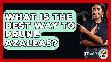 What Is The Best Way To Prune Azaleas? - LearnToDIY360.com