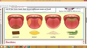 Class 7 Science 5/10/21 Worksheet 23 science English Medium Tuesday 5 October Class 7th Worksheet 23