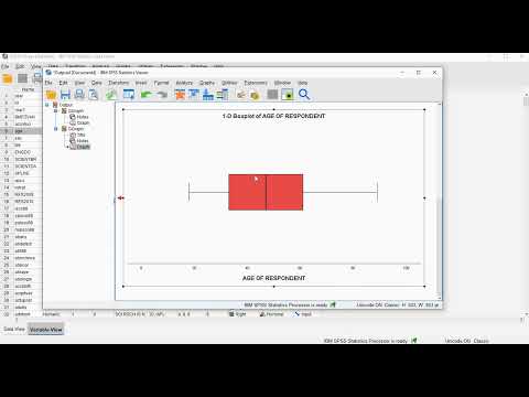 SPSS - Box-Plot Single Variable - Via Chart Builder