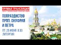 Аудиотрансляция соборного богослужения: Память прп. Онуфрия Великого и Петра Афонского