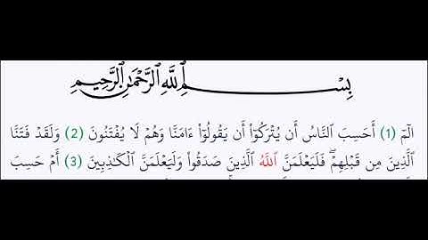 صلاة التراويح بصوت المقرئ مبارك حسوني سوره القصص سورة العنكبوت