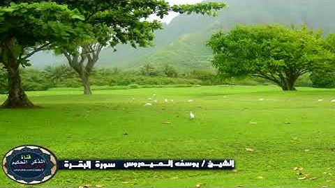 سورة البقرة كامله / القارئ يوسف العيدروس