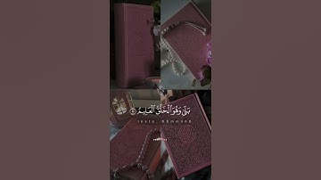 اللهم اجعل القران الكريم ربيع قلبي ونور صدري #القران #ماهر_المعيقلي #سورة_يس #راحه_نفسيه #اطمأن