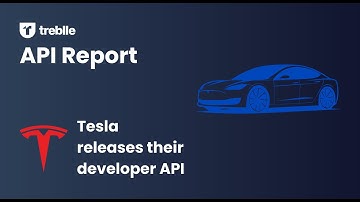 API Report: Tesla releases their developer API