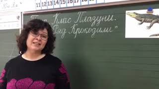 Я у світі. Клас Плазуни. Ряд Крокодили. Тиждень 27, с.17