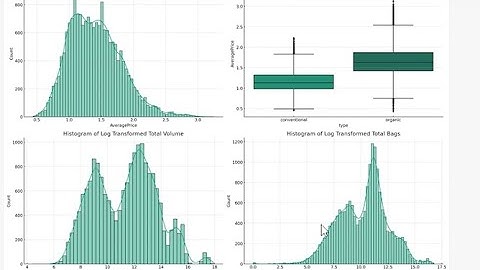 CitiBike Analysis: Tableau and Duckdb (vid 01)
