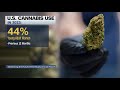 Cannabis medical value gaining acceptance