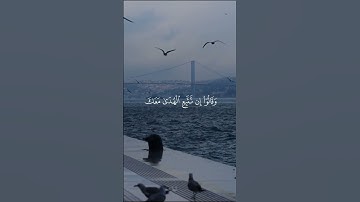 #ياسر_الدوسري #اكسبلور #yasseraldossary #تلاوات #راحة_نفسية #المصحف #قران_كريم