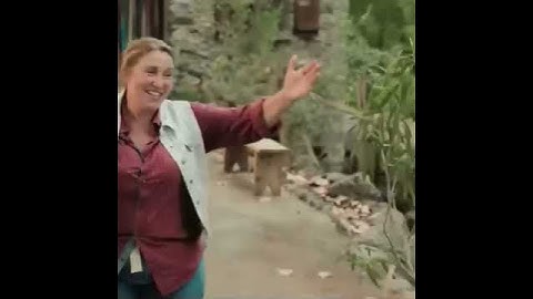 Les Bodin's enquêtent en Corse (2023) VF