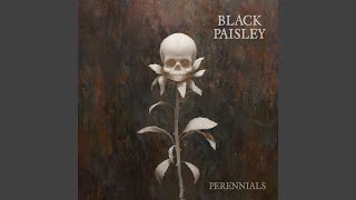 Video thumbnail of "Black Paisley - Sometimes"