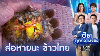 ส่อหายนะ ข้าวไทย? ส่งออกล้างสต๊อก ข้าวเก่า 10 ปี | ซัดทุกความจริง | สำนักข่าววันนิวส์