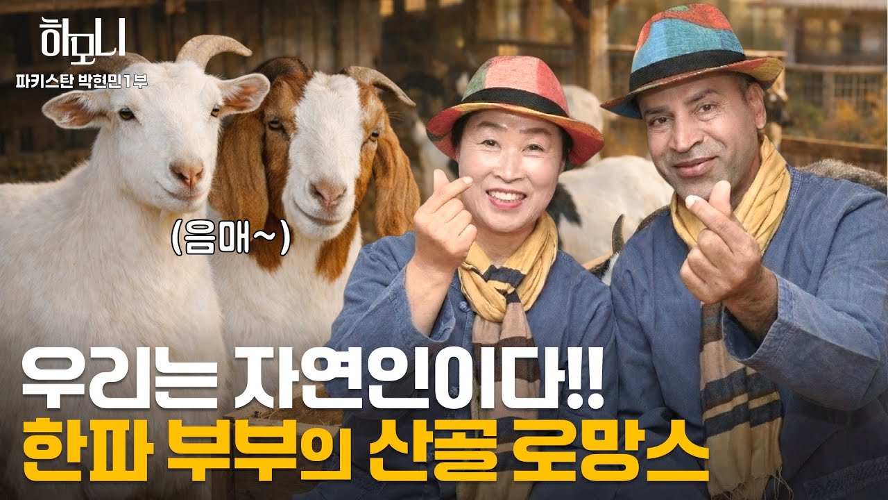 [연중기획 하모니] 현민과 화선의 산골 파라다이스 1부 / 연합뉴스TV (YonhapnewsTV)