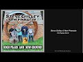 Steve Gulley &amp; New Pinnacle: The Raging Storm (2019) New Bluegrass