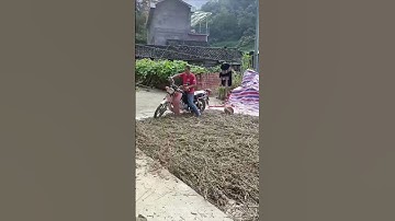 Rural Innovation: Motorcycle + Roller = Soybean Pressing Masterpiece!