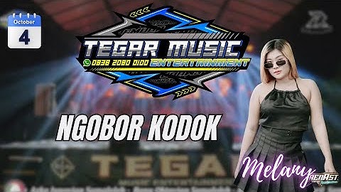 NGOBOR KODOK VOC  MELANI || TEGAR MUSIC EDISI 4 OKTOBER 2025 LIVE DS PANJALIN LOR