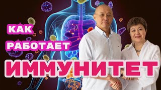 Как работает иммунитет. Как повысить иммунитет #иммунитет #здоровье