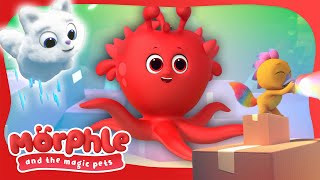 Welcome to the Magic Pets Talent Show 🌟 Morphle Cartoons | Available on Disney+ and Disney Jr by Moonbug Kids - After School Club 14,770 views 2 weeks ago 1 minute, 57 seconds