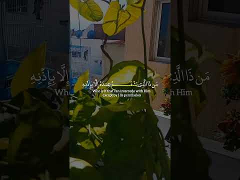 تأمل وأنصيت وتمعن وتدبر القرأن آيات بي أية والله المستعان