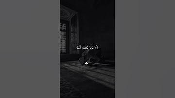 تلاوه خاشعه من سورة الفجر فارس عبااد💚🤍 #قرآن #الرحمن #استوريات #المصحف #سورة_الفجر #اكسبلور