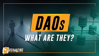DAOs - What Are They? | Reimagine v11.0 #1 @reimagineweb3