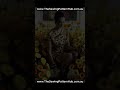 Sewing Patterns in Motion - Vogue 976 - Tapered Pullover Dress - Year 1992