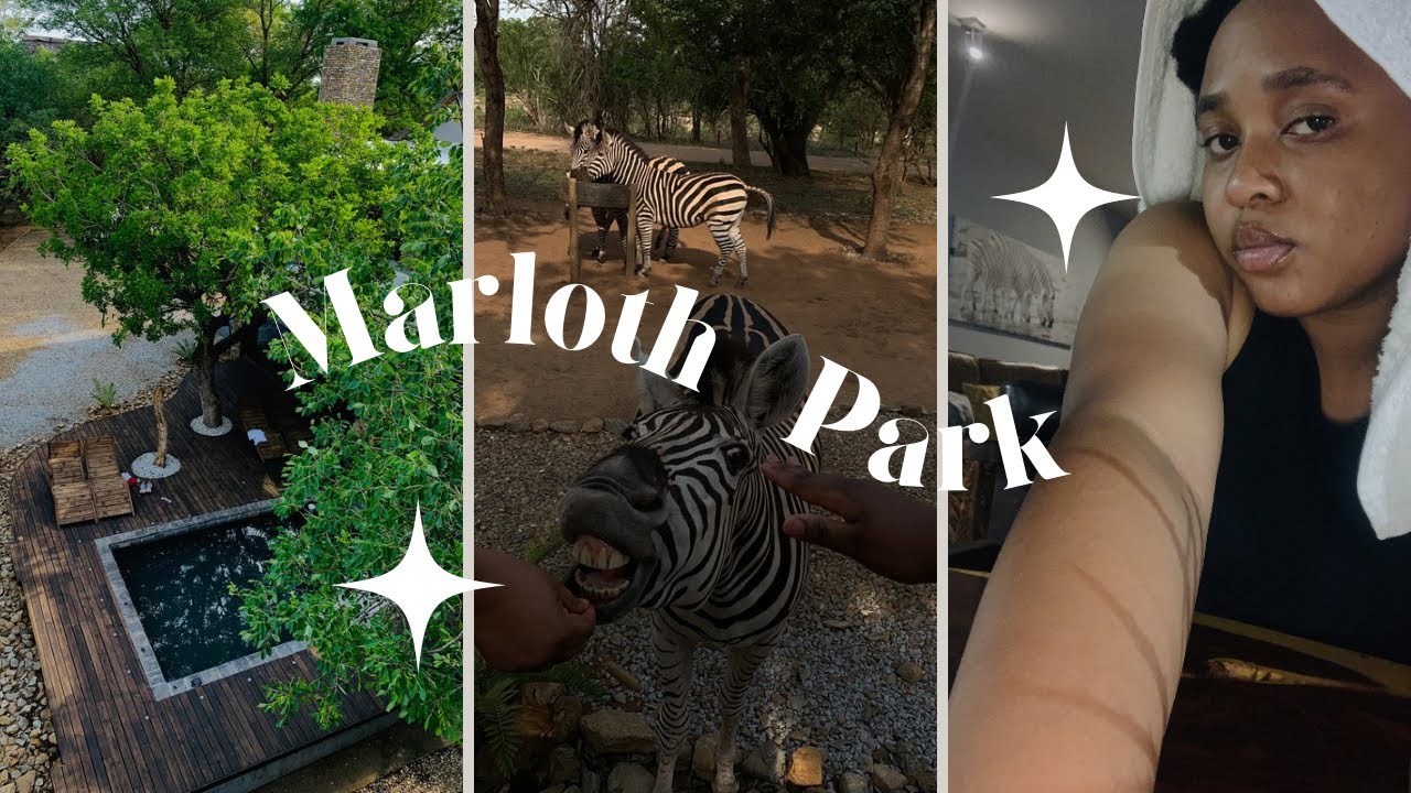 #vacation vlog: Come with us to Marloth Park in Mpumalanga