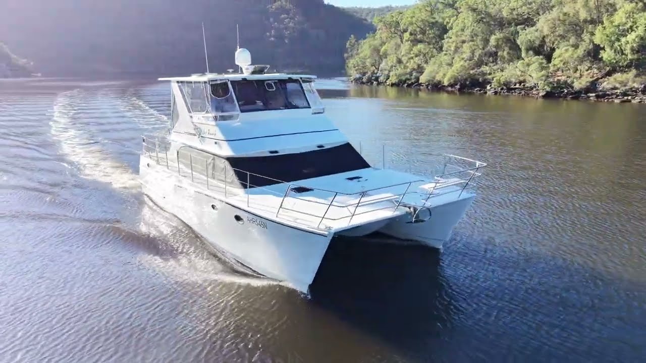 ⁣Brady cat 42 'Just Reward' cruising