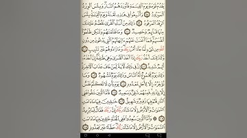 ماهر المعيقلي سورة هود مكتوبة صفحة 233 مصحف المدينة المنورة جودة عالية