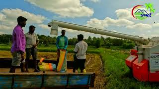 PADDY HARVESTING & EXPORTING I KILINOCHCHI I SRI LANKA