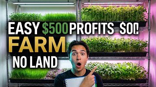 How to Start a Profitable Farm in 2026 with $500 (No Land Needed)
