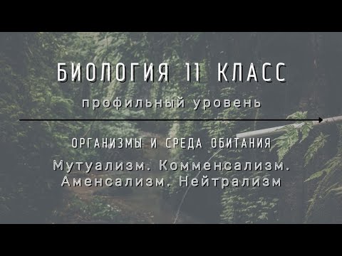 Биология 11 кл Теремов §52 Мутуализм. Комменсализм. Аменсализм. Нейтрализм.