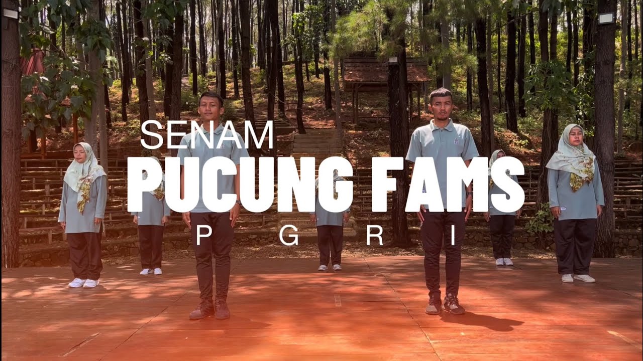 SENAM PGRI SD NEGERI PUCUNG