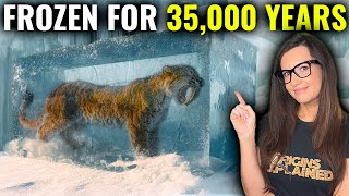 35,000-Year-Old Saber-Toothed Tiger Found in Ice Perfectly Preserved!!