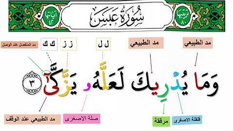 surah Abasa Ayah 1-7 || استخراج احكام التجويد