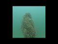 One more day of spookiness!🧌🤿👀#halloween #swampthing #creepy #spooky #scubadiving #diving #shorts