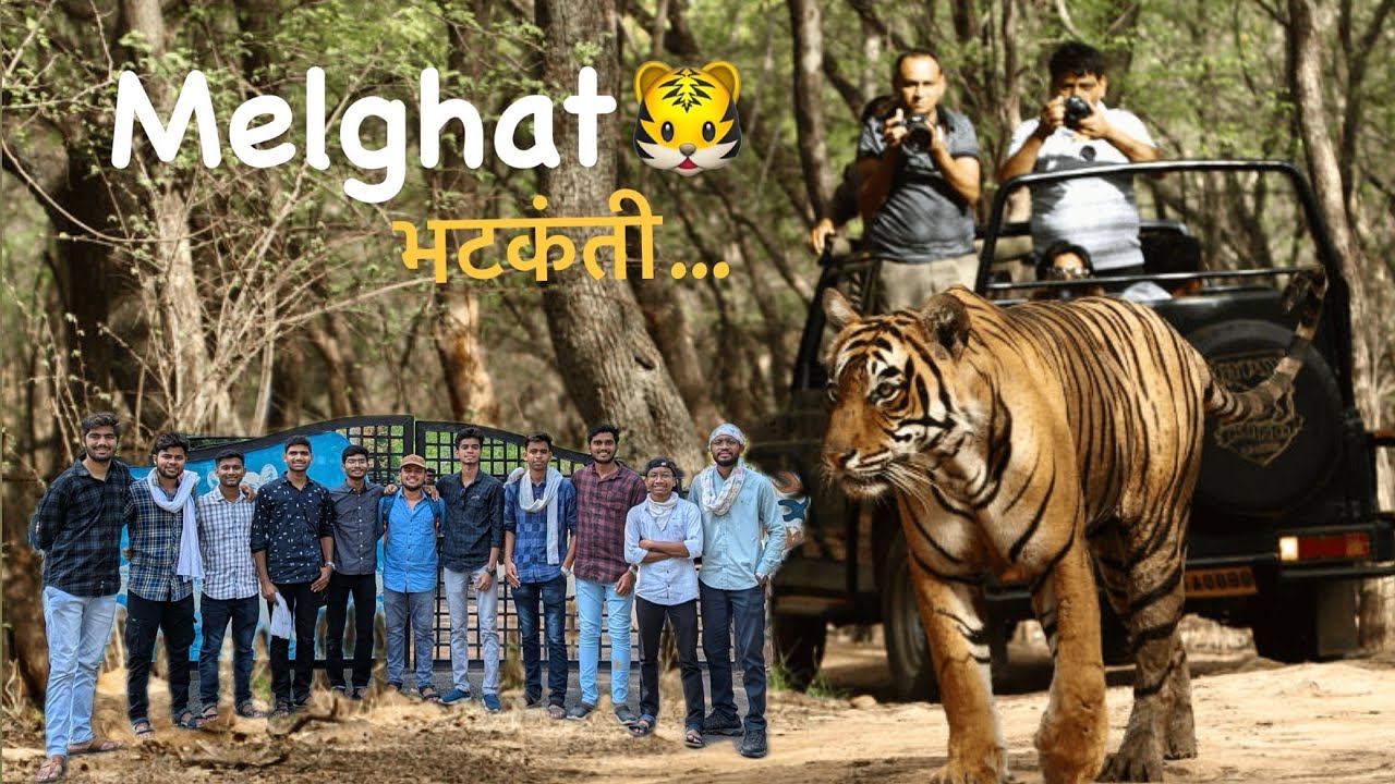 Melghat 🐯Jungle Safari…
