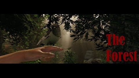 The Forest - Fall Damage OP (Alpha 1 Finale)