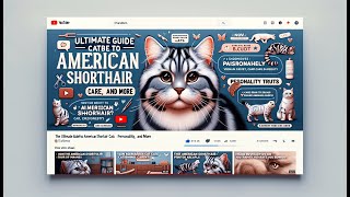 The Ultimate Guide to American Shorthair Cats  Care, Personality, and More