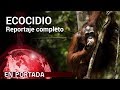 'Ecocidio' COMPLETO | En Portada