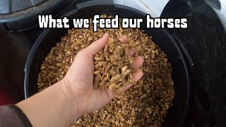 What we feed our horses / Equestrian VLOG