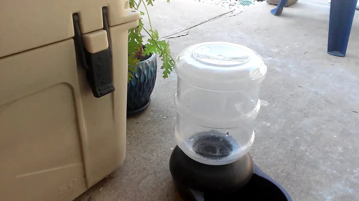 Water bottle flips