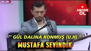 Mustafa Sevindik - Gül Dalına Konmuş | Canlı Performans © 2022 Resimi