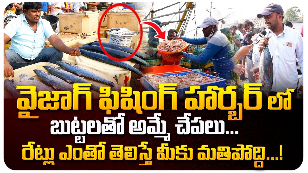 ఇక్కడ ఖరీదైన చేప ఇదే ! ఆరోగ్యానికి చాల మంచిది | Vizag Fishing Harbour Latest Video | Telugu World