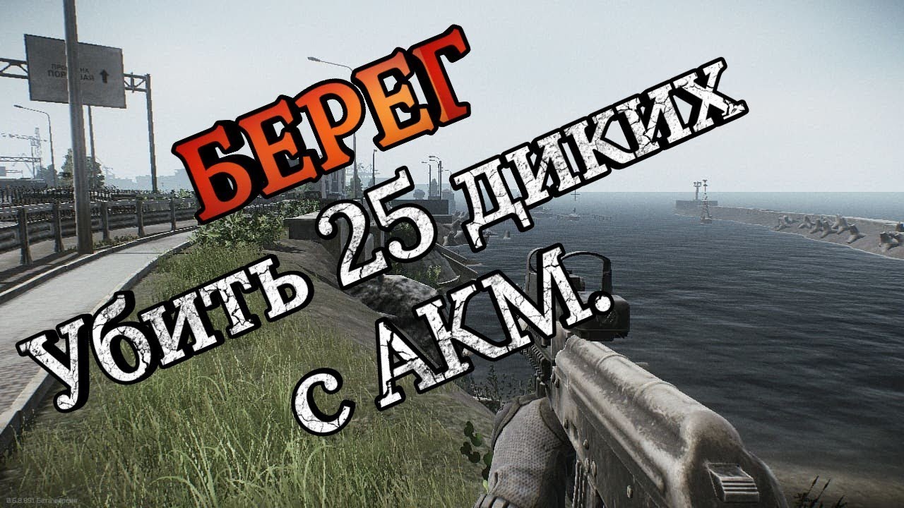 Дикий 25 фраг