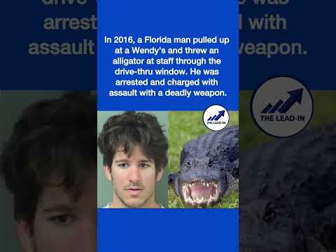 In 2016, a Florida man pulled up at a Wendy's and threw an alligator at staff through the drive-by