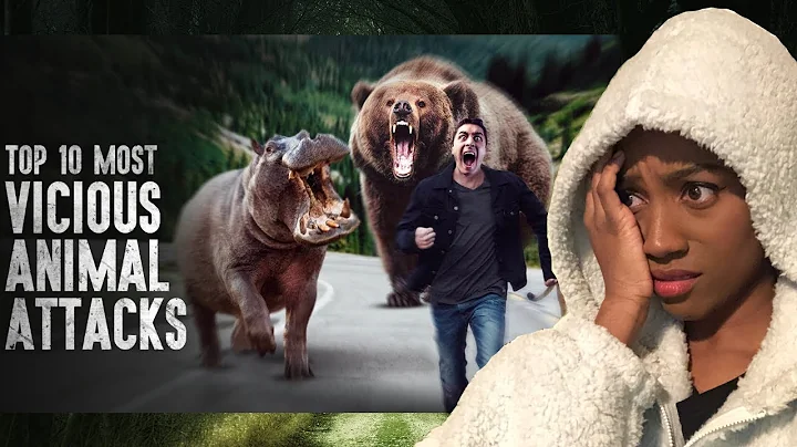 How to Survive the Top 10 Most Vicious Animal Attacks!!!