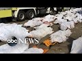 Hundreds Killed in Tragic Hajj Stampede Near Mecca